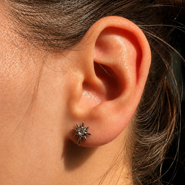Puces d’oreilles Sirius