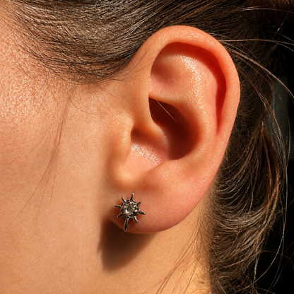 Puces d’oreilles Sirius