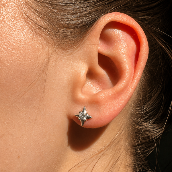 Puces d’oreilles Ester