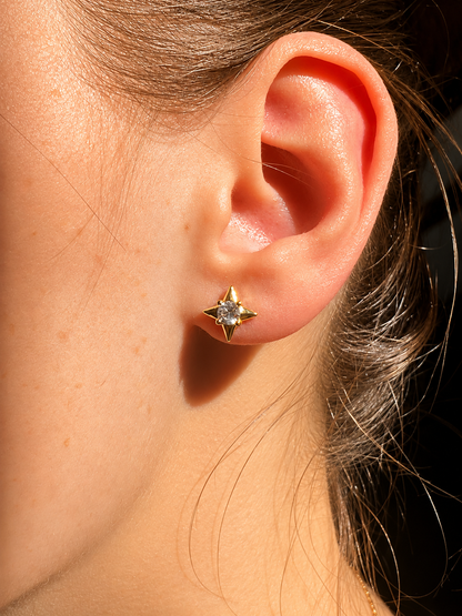 Puces d’oreilles Ester